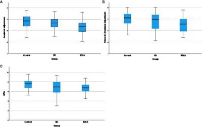 A 2-year follow-up of the effects of combined binge drinking and cannabis consumption on academic performance and adjustment in Spanish third-year university students
